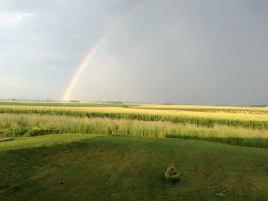 Rainbow over the IL prairie.