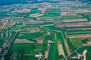 Amish farmland quilt