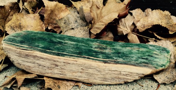 North Shore driftwood