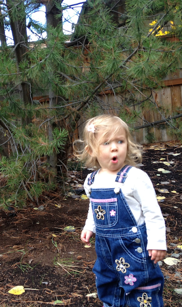 You gotta be kidding!