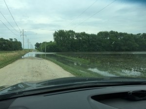 Flooded bean field - Champaign, IL
