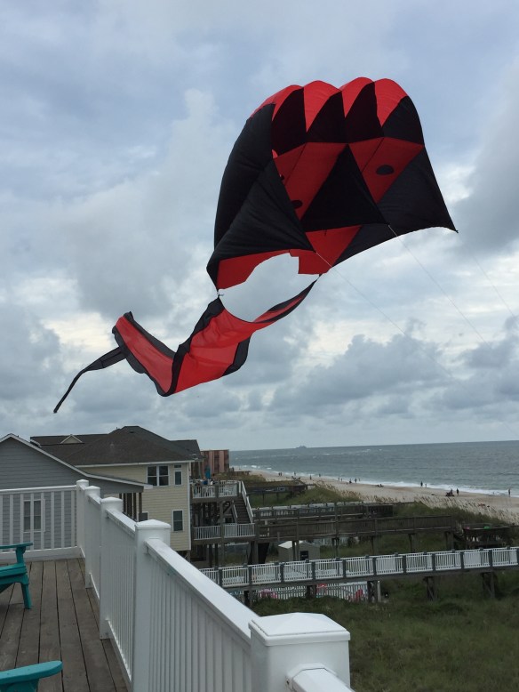 Steve's kite on Topsail Island
