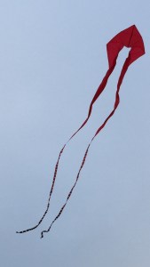 Steve's kite