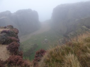 harvest-being-2014-051