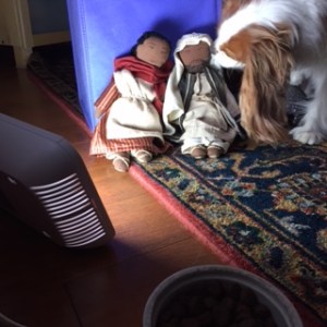 Barclay welcoming Joseph and Mary to our home.