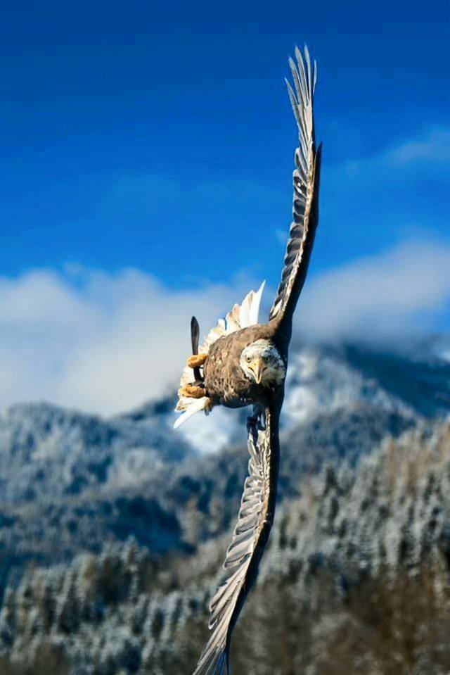 12715754_985019041534194_4314945524831817181_n