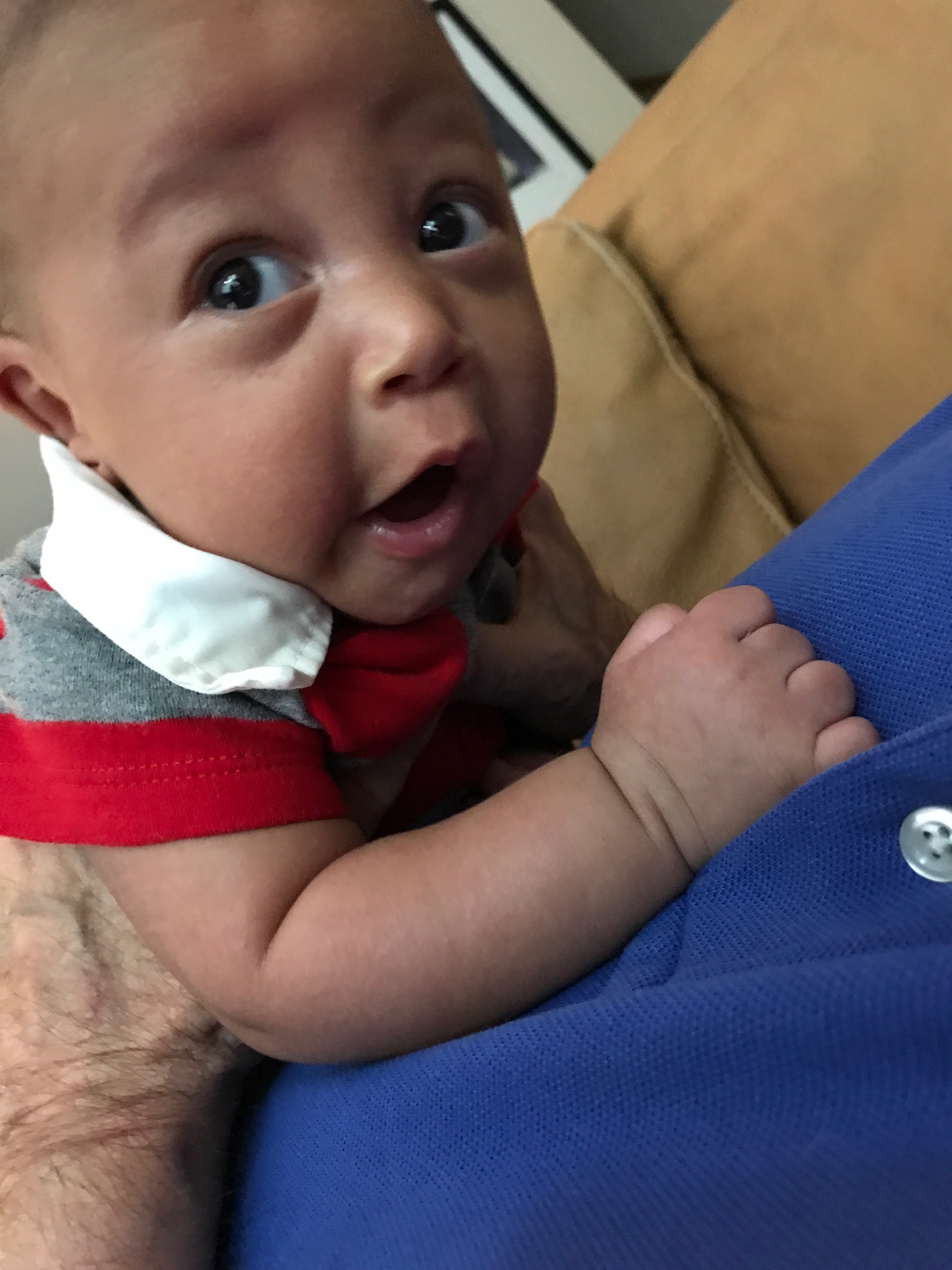 EliC43CF607-9499-4D51-BF55-CFCEB806711C