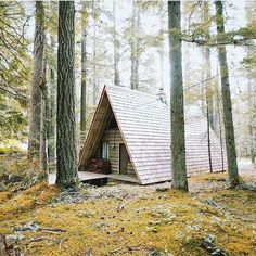 fd102fe612128b9da9857f58e5286d30