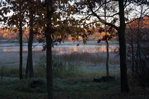 photo of the wetland pond viewed from the cabin in the wilderness.