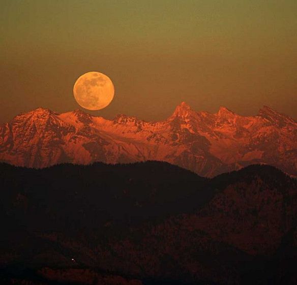 d593c79180a244b638efd9900ecf7e44--himalayan-moonlight