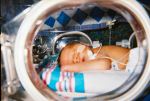 Human_Infant_in_Incubator
